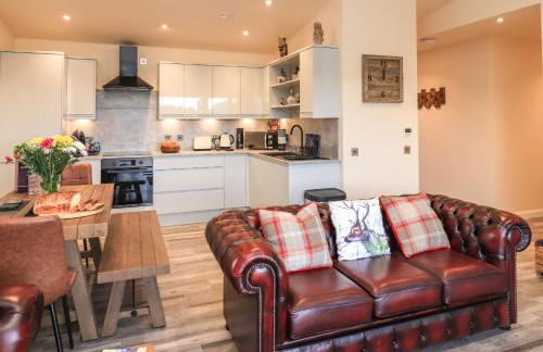 Pine Marten - Foto 8