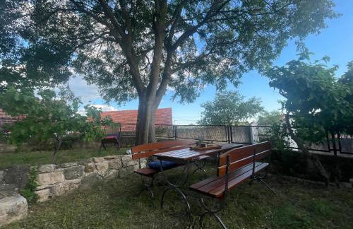 NEW - House KoStella - Drniš - Foto 33