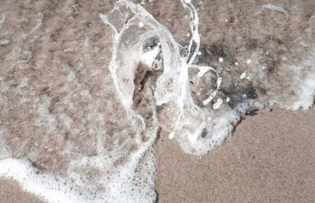 Lasse Comfortable Holiday Residence - Foto 15