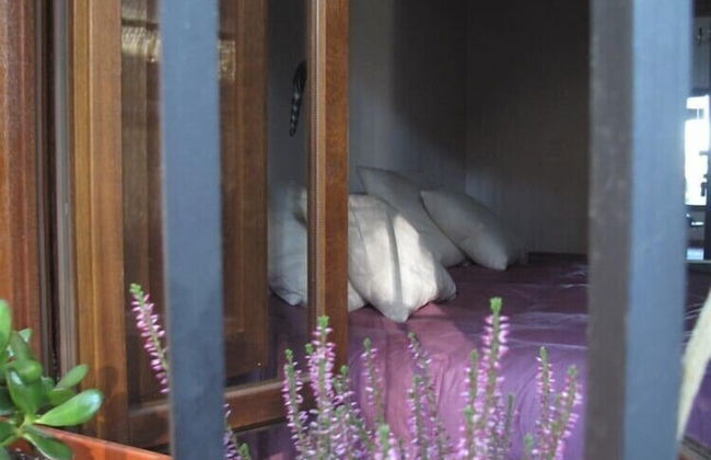 Casa Rural El Zumacal - Foto 2