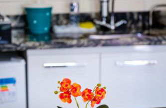 Flats 1 Locação Penedo RJ - Foto 11