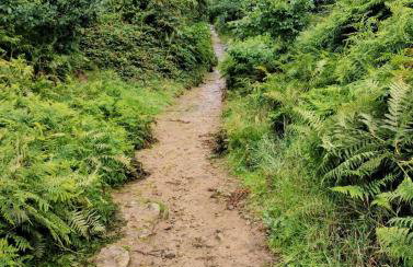 The Peak Retreat - Foto 30