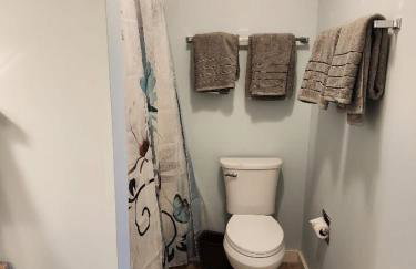 WOW-New Ski OnOff Suite By Pool Sleeps 4 Jiminy Pk - Foto 8