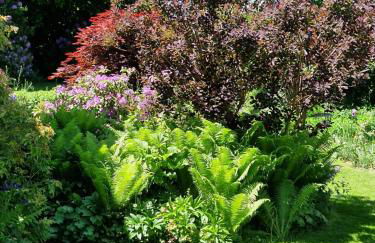 Ferienwohnung Leo - Foto 20