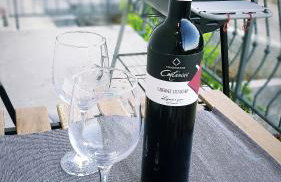 Guesthouse Villa Brestova - Foto 31