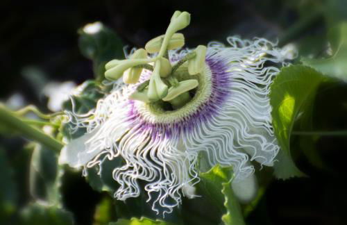 Elounda Heights - Adults Only - Foto 129