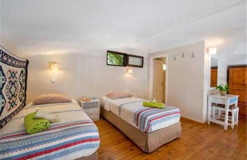 Bougainvillea - Foto 39