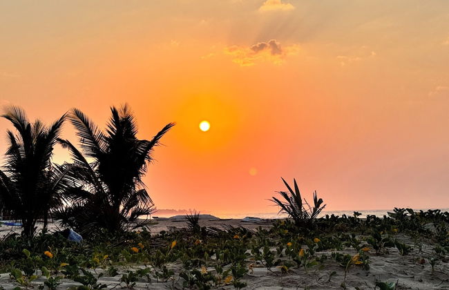 Villa Palmeira - Foto 41