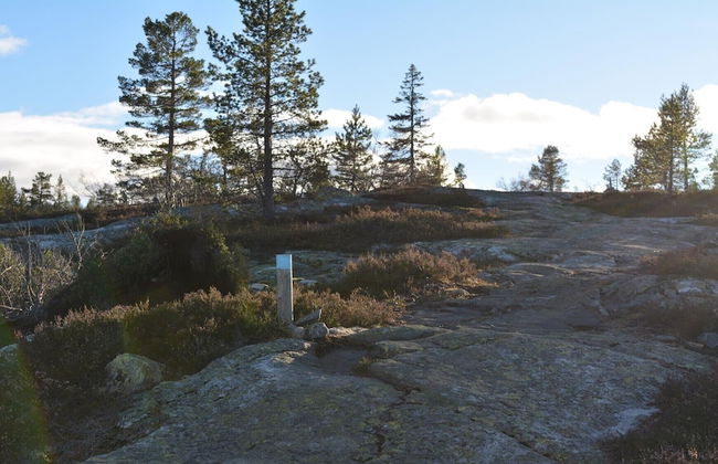 Ski Lodge & Apartments Gautefall - Foto 53