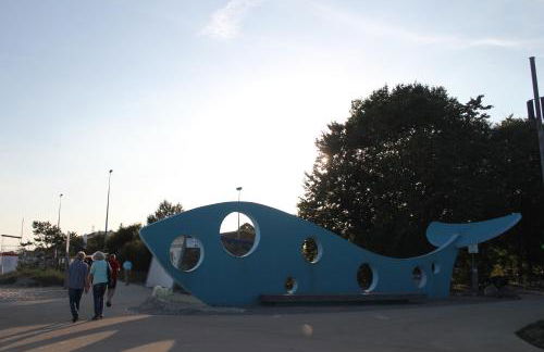 Silbermöwe im Kirschgarten - Foto 24