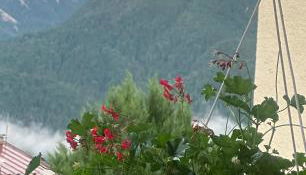 LA CASA DI SURI - Foto 2