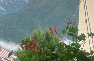 LA CASA DI SURI - Photo 2