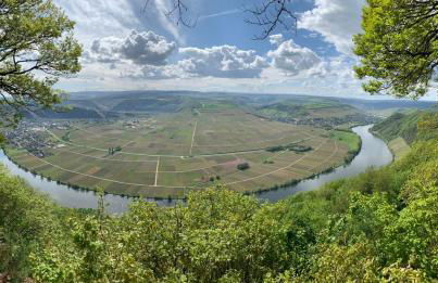 FeWo Koch48 - Foto 17