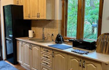 Leśna Chata Arciechów - Foto 38