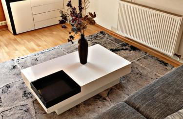 VOLL ausgestattete DG- Wohnung in HDH ruhige zentrale Lage - Foto 12