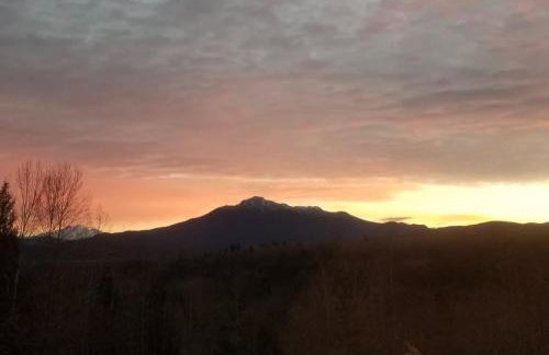 Treehouse Place at Deer Ridge Ole Mill - Foto 34