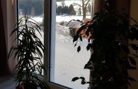 Ferienhaus Victoria - Foto 19