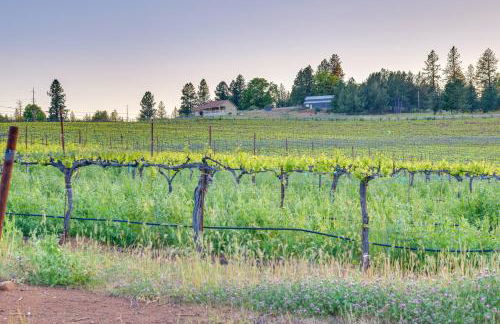Kelseyville Cottage Private Deck and On-Site Winery - Foto 24