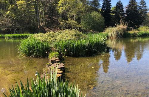 Le Courlis - Foto 17