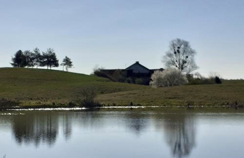 Marcinowa Zagroda - Foto 27