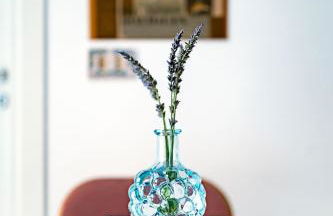 Lu Macasenu - Foto 12