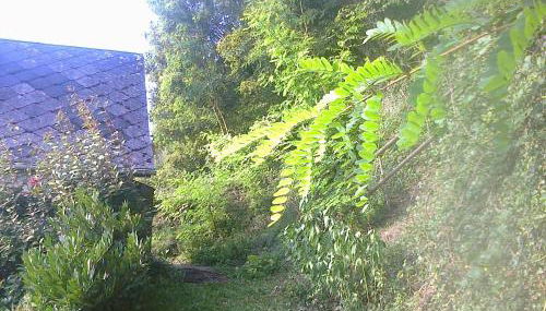 À flanc de colline - Foto 2, Garden