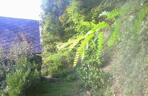 À flanc de colline - Foto 2