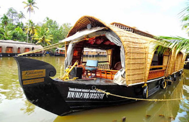 Houseboat Cruise in the Backwaters of Kerala - Foto 10