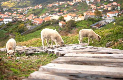 Bella Vista (Heated Pool & Private Parking) - Foto 28