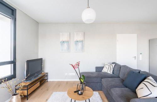 Basel-Tram 8-Tristate-Bridge-Riverview - Foto 23