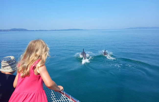 Giro in barca nel Golfo di Arta - Foto 3