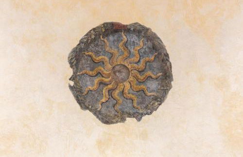 Casa Petrucci centro storico, accesso ztl e park gratuito - Foto 2