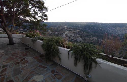 Joanna Studio - Photo 29