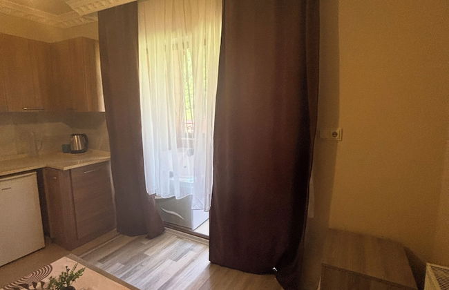 Uzungöl Ozturk Hotel - Foto 47