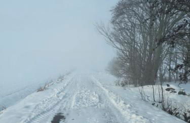 Ferienwohnungen Das Finkhaus - Foto 59