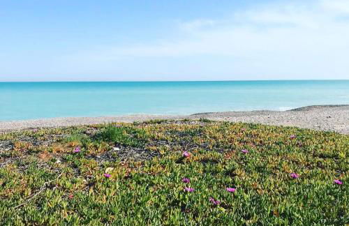 BEACH & SUN MONCOFA - Foto 41