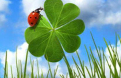 Kleeblatthaus Putbus Rügen - Foto 16