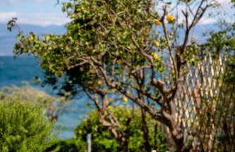 Lefkon Villa with pool by the Sea - NPeloponnese - Foto 20