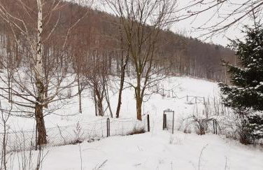 Apartament przy Mickiewicza - Foto 6