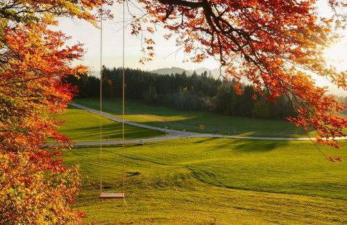 NEU FeWo Rottachblick - Foto 37