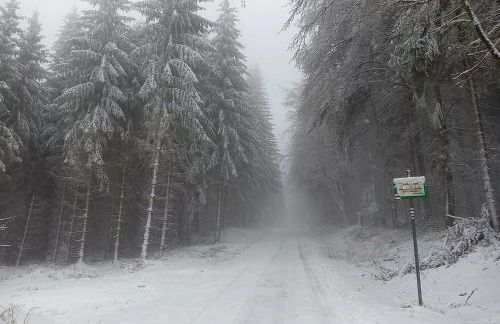 Ferienwohnung Bergluft 2Etage kein Aufzug - Foto 8