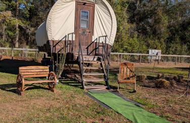 Highland Cow Glamping in a Cozy King Bed Wagon - Foto 11
