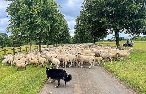 Historical cottage on private estate in Cotswolds - Foto 8