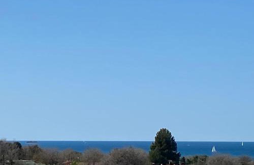 MINT&ROSE - Photo 11