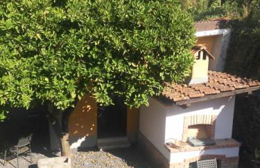 Agriturismo Ardissone Thomas - Foto 3