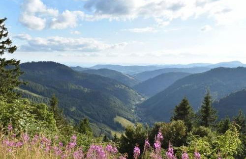 Ferienwohnung Penthouse Feldberg - Foto 35