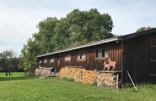 Ferienwohnung mit Alpenblick - Foto 21