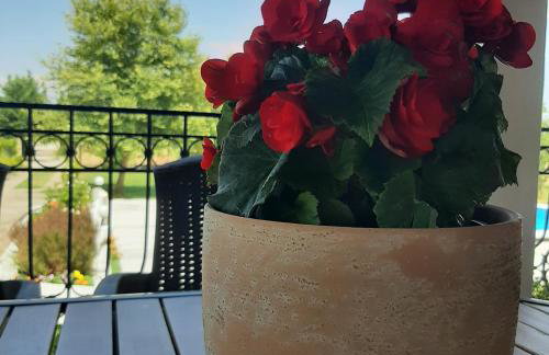 Αρχοντικό Παπανικολάου - Foto 55