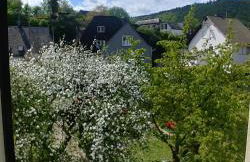 Ferienhaus Moselglück - Foto 46