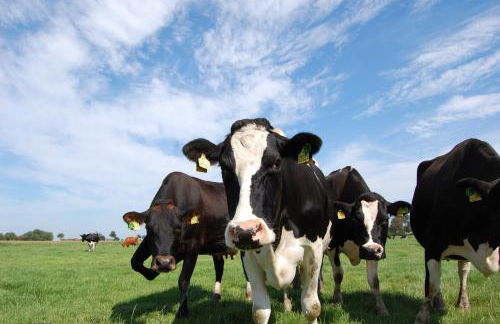 Alte Pastorei Minsen - Photo 12